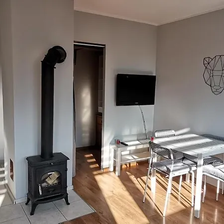Apartament Przy Papierni Apartment